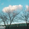 PB270008_feat