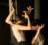 dema_apap---262_feat