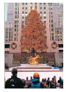 Christmas Cards