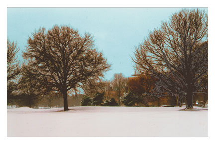 Winter In The Park