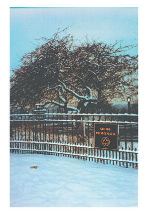 Shore Road Winter