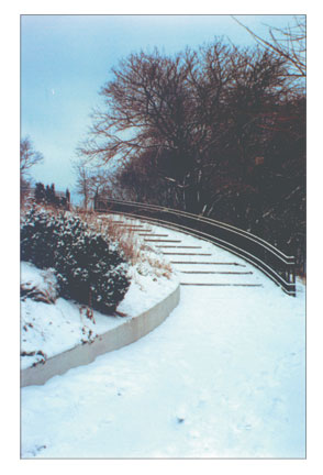 Snowy Steps In Park