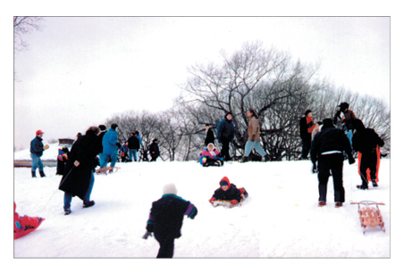 Sledding In Park