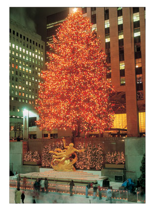 Christmas Cards