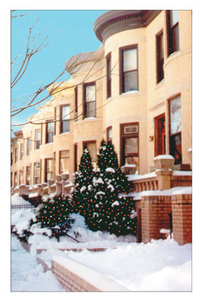 Brownstone Winter 8