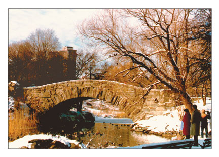 Winter in the Park 7