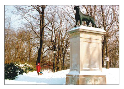 Winter in the Park 9