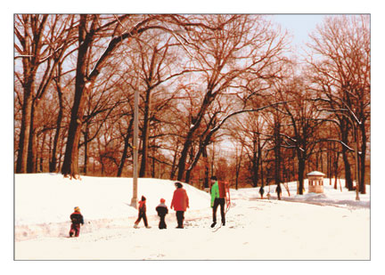 Winter in the Park 10