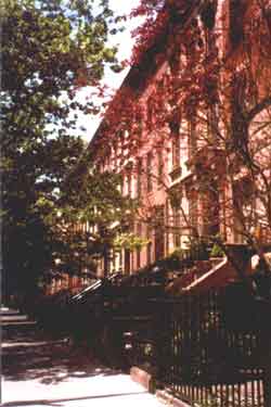 Cobble Hill