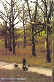 Riverside Park 1