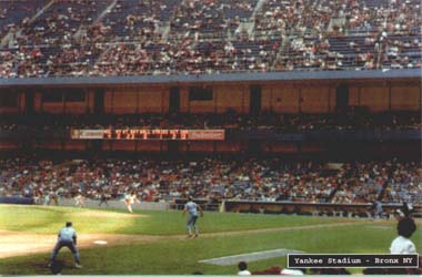 Yankee Stadium 3
