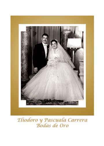free tri fold winter wedding program template free tri fold winter wedding program template