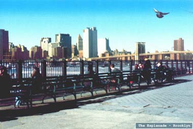 The Esplanade
