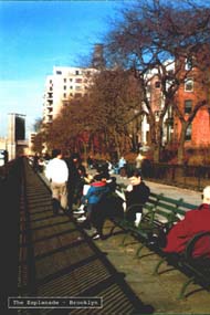 The Esplanade