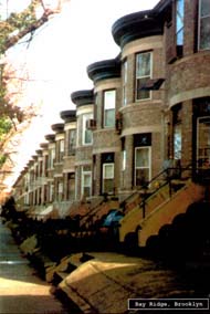 Bay Ridge 1