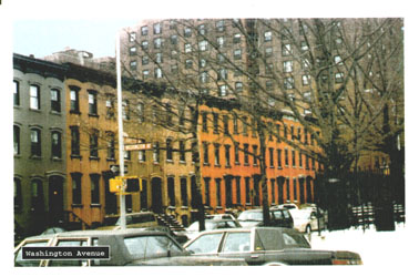 Washington Avenue