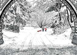 Christmas Post Card Christmas Post Card