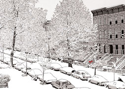 Christmas Post Card Christmas Post Card