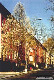 Greenwich Village 2