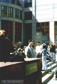 New York University 2