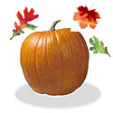 Halloween Party Invitations