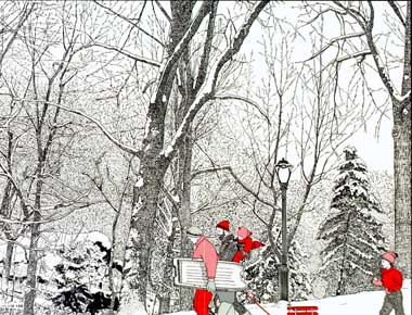 Winter in the Park II