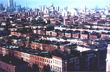 Brooklyn Roof Tops