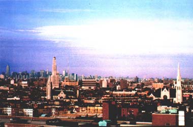 Park Slope Roof Tops