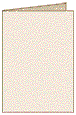 Bi-fold Invitation