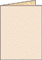 Thank You Card