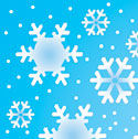 Winter Theme Party Invitations