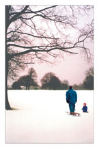 Christmas Card