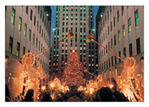 Christmas Cards