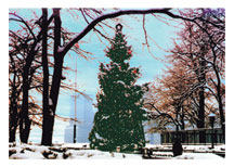 Christmas Card