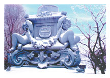 Christmas Card