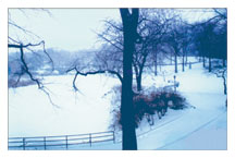 Christmas Card