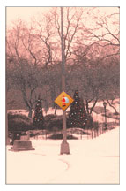 Christmas Card
