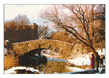 Christmas Card