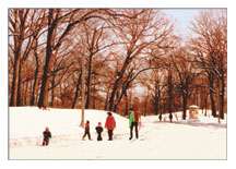 Christmas Card