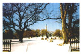 Fort Greene Park