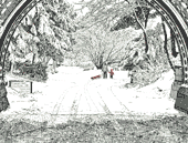 Christmas Card