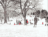 Christmas Card