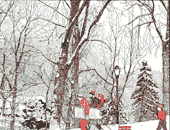 Christmas Card
