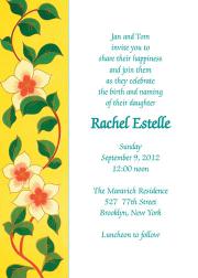 Baby Naming Invitation