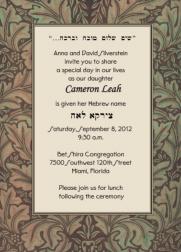Baby Naming Invitation
