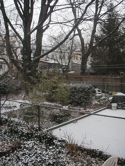 Marie's Yard in Snow