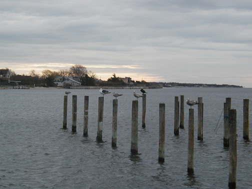 Pier - Patchogue Bay