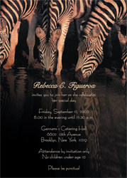 Zebras Animal Theme Invitation